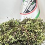 پر سیاوش یک کیلویی