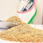 زیره سبز درشت یک کیلویی (اعلا)