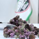 سرخارگل یک کیلویی (اعلا)