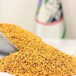 خردل دون یک کیلویی