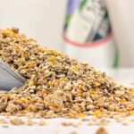 تخم گوجه فرنگی یک کیلویی