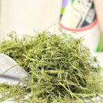 شوید پفکی یک کیلویی