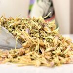 زرین گیاه یک کیلویی