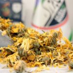 گل همیشه بهار یک کیلویی (اعلا)