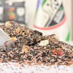 چهارتخم یک کیلویی (اعلا)