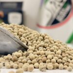 فلفل سفید یک کیلویی (اعلا)