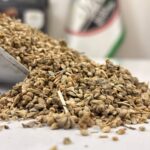 تخم اسفناج یک کیلویی