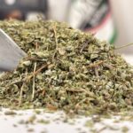 مرزنجوش یزدی یک کیلویی (اعلا) با مرجوعی بی قید وشرط