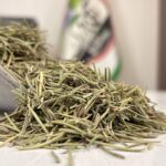 رزماری نیم کیلویی (اعلا)