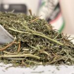 شاهتره گیاه یک کیلویی (اعلا)