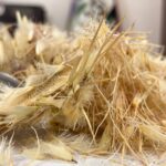 خارمریم گیاه یک کیلویی (اعلا)