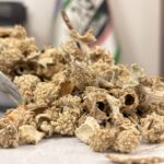 شکر تیغال نیم کیلویی (اعلا)