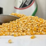 ذرت امریکایی تازه و باکیفیت یک کیلویی