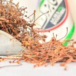 دم گیلاس یک کیلویی