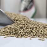 تخم کتان پرنده یک کیلویی