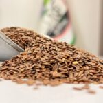 بزرک قرمز یک کیلویی