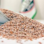 اسفرزه یک کیلویی