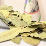 برگ بو نیم کیلویی