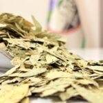 برگ سنا یک کیلویی