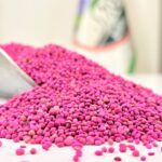 تخم تربچه باکیفیت یک کیلویی