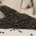 تاتوره یک کیلویی