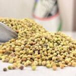 تخم گشنیز یک کیلویی