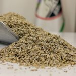 تخم کاهو یک کیلویی