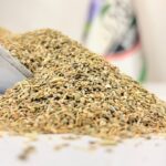 تخم جعفری یک کیلویی