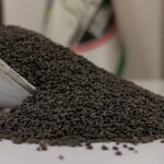 تخم شربتی درشت یک کیلویی