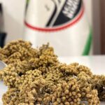 بومادران یک کیلویی